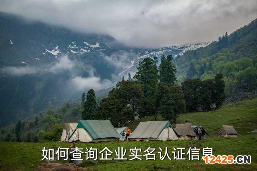 如何查詢企業實名認證信息