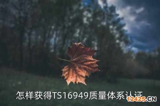 ISO 90001質量體系認證有哪些步驟