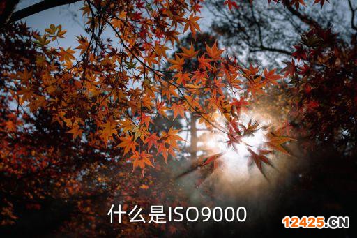 什么是ISO9000