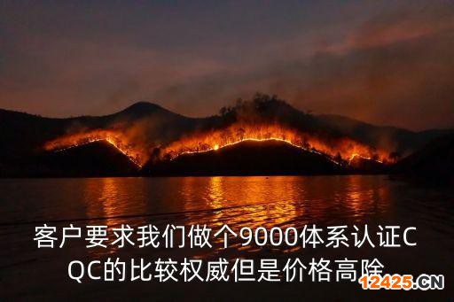 客戶要求我們做個9000體系認證CQC的比較權威但是價格高除