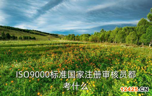 ISO9000標(biāo)準(zhǔn)國家注冊(cè)審核員都考什么