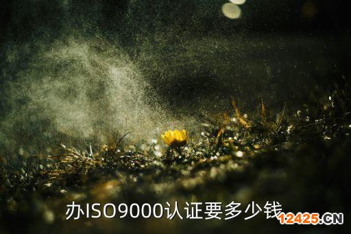 辦ISO9000認(rèn)證要多少錢(qián)