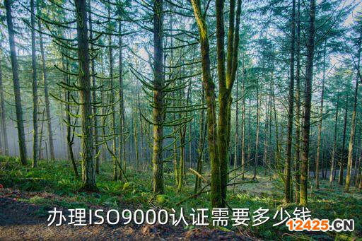 辦理ISO9000認(rèn)證需要多少錢(qián)