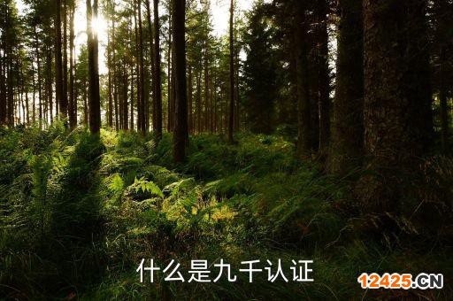 什么是九千認證