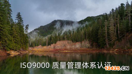 ISO9000 質量管理體系認證