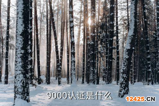 9000認證是什么