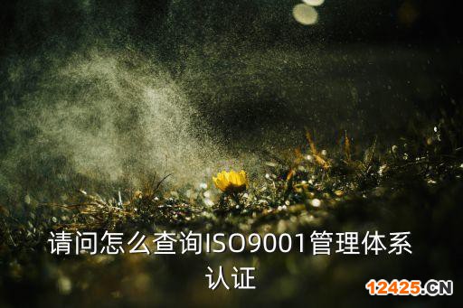 請(qǐng)問(wèn)怎么查詢ISO9001管理體系認(rèn)證