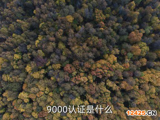 9000認(rèn)證是什么