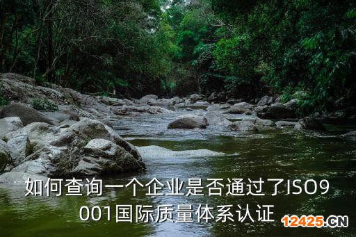 如何查詢一個企業(yè)是否通過了ISO9001國際質量體系認證
