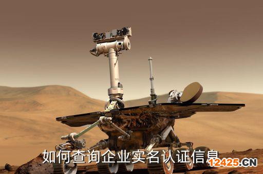 如何查詢企業實名認證信息