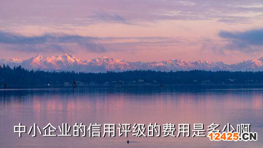 中小企業(yè)的信用評(píng)級(jí)的費(fèi)用是多少啊