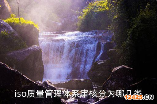 iso質量管理體系審核分為哪幾類