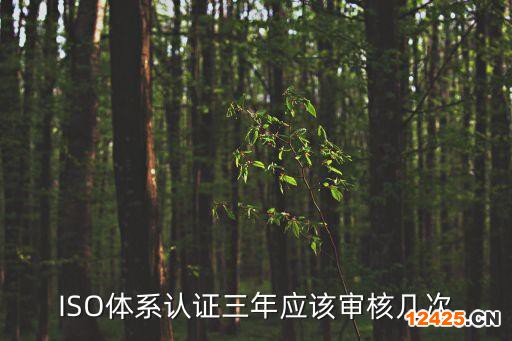 ISO體系認證三年應該審核幾次
