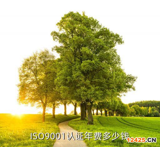ISO9001認證年費多少錢