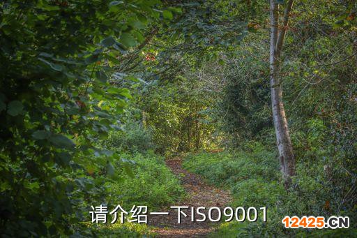 請介紹一下ISO9001