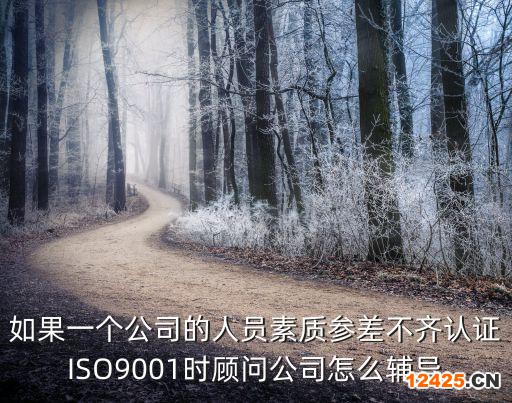 如果一個公司的人員素質參差不齊認證ISO9001時顧問公司怎么輔導