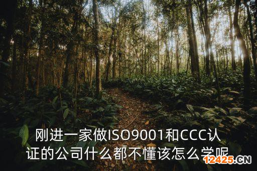 剛進一家做ISO9001和CCC認證的公司什么都不懂該怎么學呢