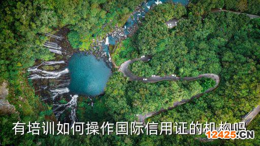 有培訓如何操作國際信用證的機構嗎